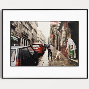 May include: A framed photograph of a rainy city street scene featuring a person holding a black umbrella, a white dog, and another person in a white shirt holding a green bucket near a storefront. The street is lined with parked cars and buildings.
