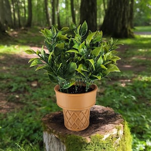 May include: A small green plant in a brown, waffle cone-shaped planter. The planter is sitting on a tree stump covered in moss.
