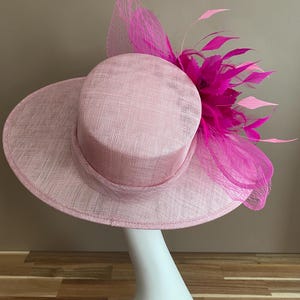 May include: A pink hat with a wide brim and a pink feather and net embellishment.
