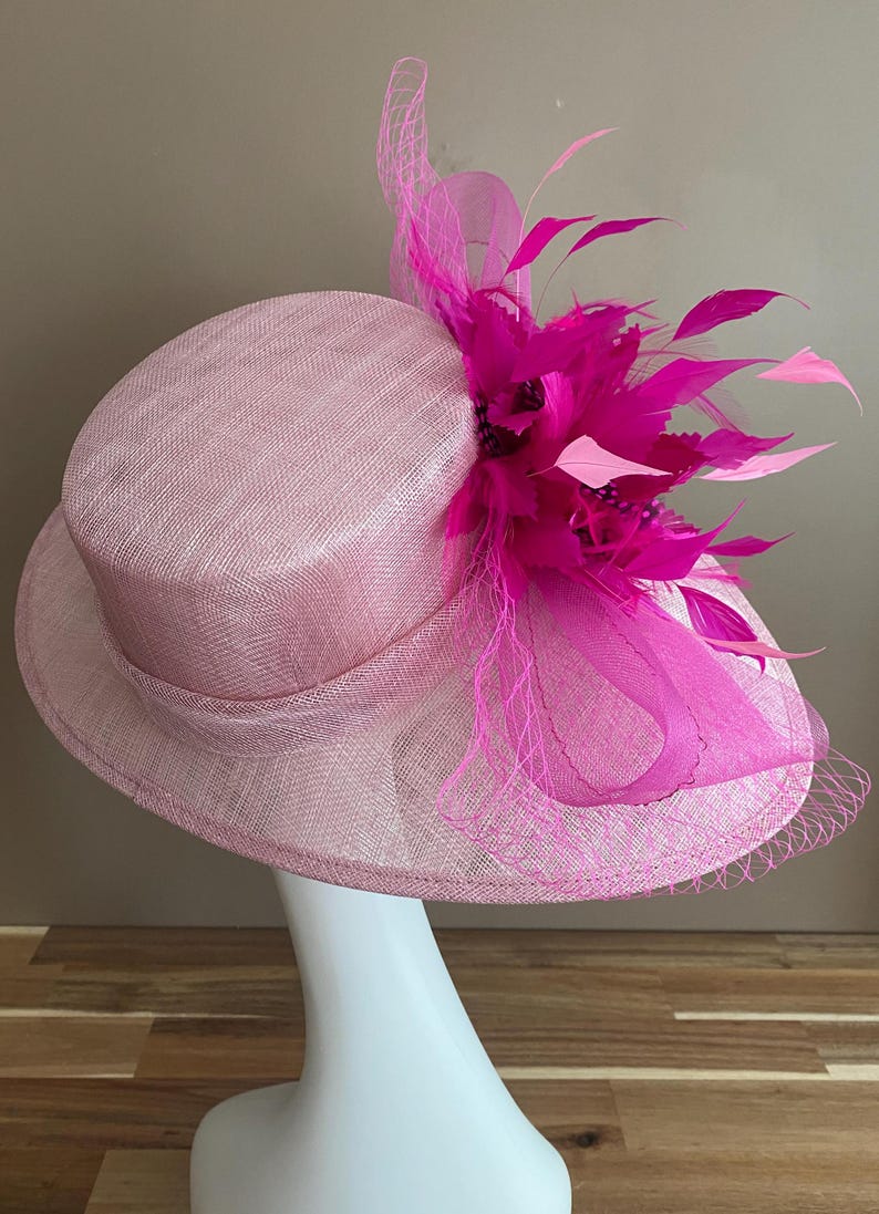 May include: A pink straw hat with a wide brim and a pink feather and net embellishment.