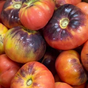 Indigo Blue Beauty Tomato Seeds NJ Grower Heirloom Organic Free Shipping