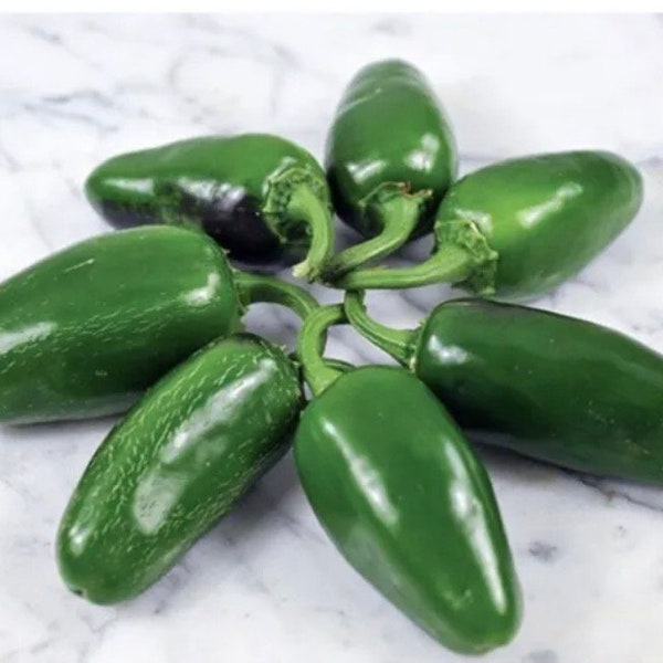 Jalapeño Craig’s Grande Jalapeño  Pepper Seeds USA NJ Grower Heirloom Organic NJ Seller check my store for the largest selection