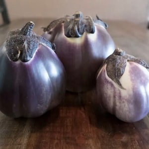 Eggplant Prosperosa Italian Eggplant Seeds rare NJ Grower USA Heirloom Organic check my store for more for largest selection Free Shipping image 1