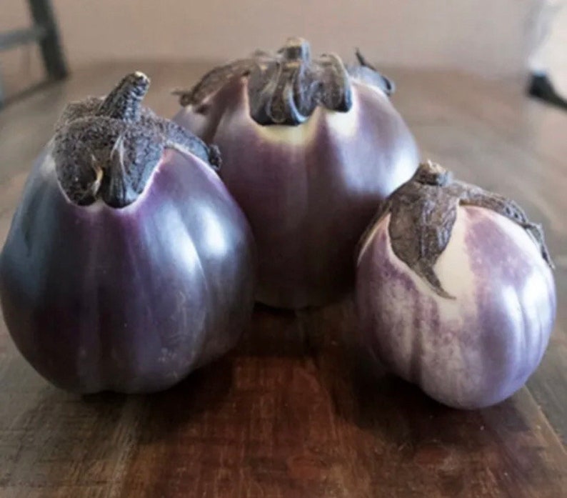 Eggplant Prosperosa Italian Eggplant Seeds rare NJ Grower USA Heirloom Organic check my store for more for largest selection Free Shipping image 1