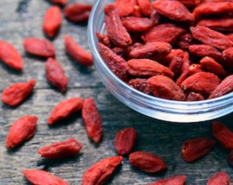 Goji Berry (Wolfberry) Seeds NJ USA Heirloom organic See my store for largest selection