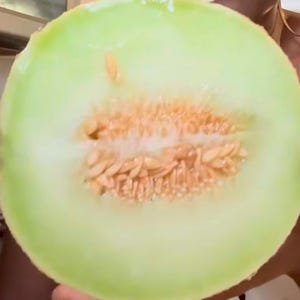 Melon Lemon Drop Melon seeds Free Shipping  NJ USA  See my store for largest selection