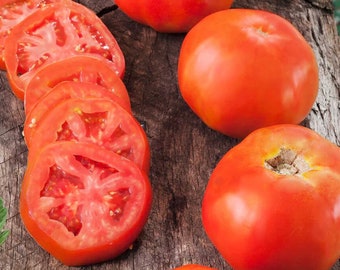 May include: Close-up of several red ripe tomatoes, some whole and some sliced. The tomatoes are arranged on a wooden surface.