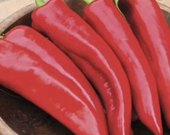 Anaheim Chili Pepper Seeds USA NJ Grower Heirloom Organic Free Shipping