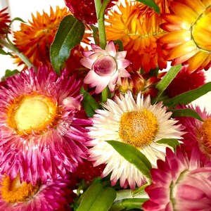 May include: A bouquet of dried flowers in a glass jar. The flowers are in shades of pink, white, orange, and yellow.