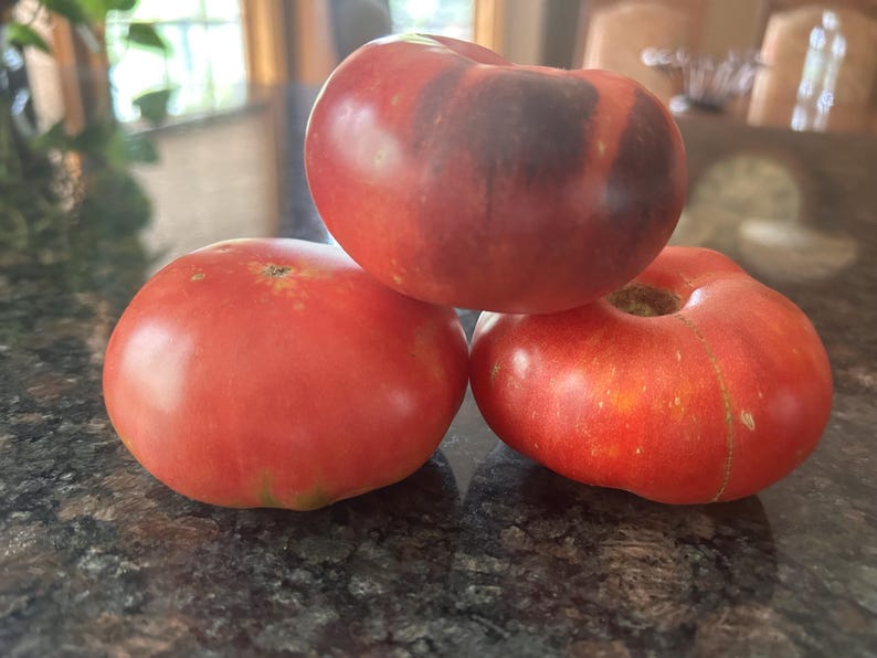 HeirloomSeedsForU Tomato Seeds - Thumbnail 2