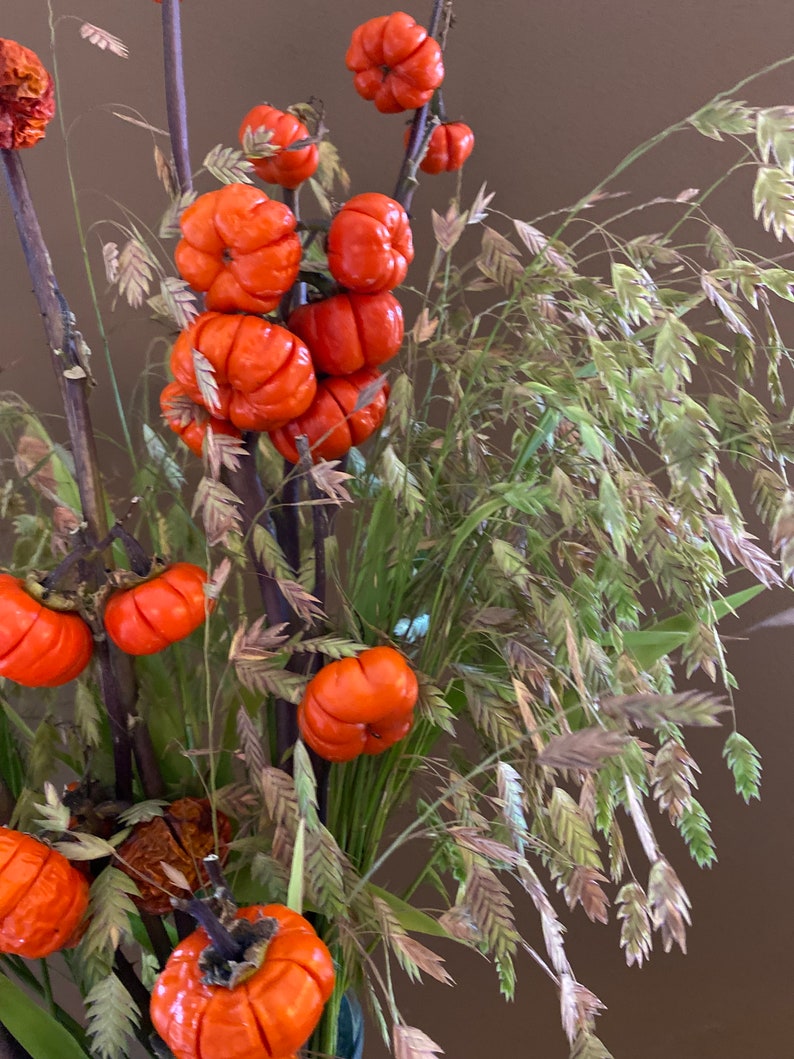 Pumpkin on A Stick Seeds Ornamental Pumpkin Eggplant Tree Etsy