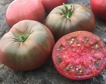Black Krim Tomato 25 Seeds old Russian tomato USA NJ Grower Heirloom Organic check my store for the largest selection.