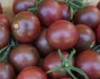 Black Cherry Tomato Seeds NJ Grower Heirloom Organic Free Shpping