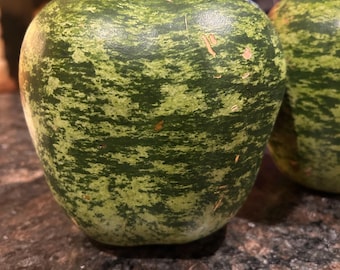 Gourd Apple Gourd Seeds free shipping   NJ USA Heirloom organic See my store for largest selection