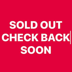 Echinacea White Swan  Coneflower flower Seeds  Heirloom USA NJ Grower see my store for largest selection Free Shipping