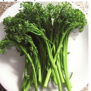 May include: A bunch of fresh green broccoli florets on a white plate.