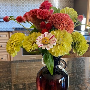 May include: A bouquet of flowers in a dark red vase with a clear glass rim. The flowers include green, yellow, and white zinnias, red and pink cockscombs, and red and white flowers.