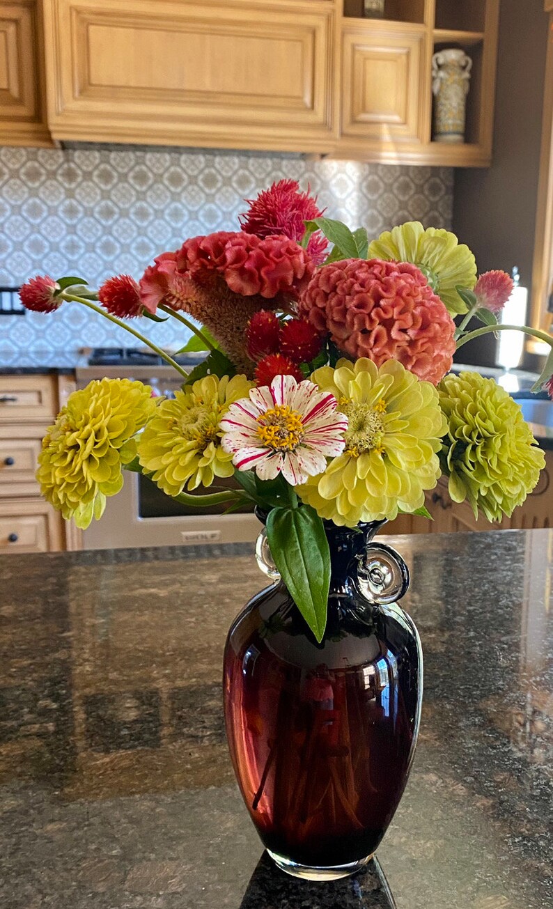 May include: A bouquet of flowers in a dark red vase with a clear glass rim. The flowers include green, yellow, and white zinnias, red and pink cockscombs, and red and white flowers.