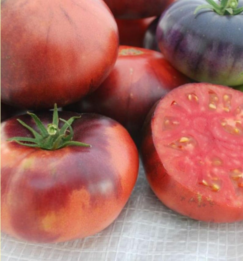 HeirloomSeedsForU Tomato Seeds
