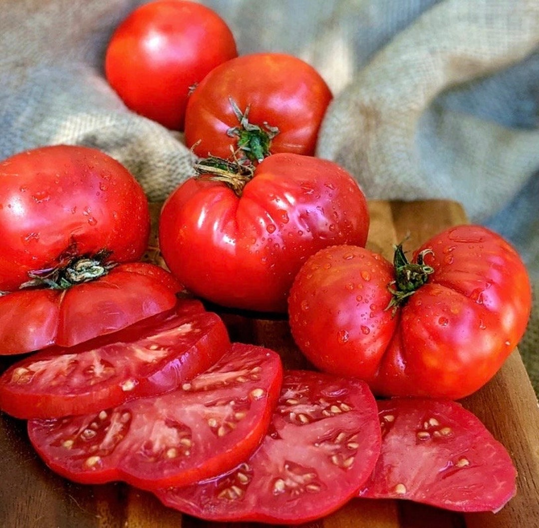 Graines De Tomate Crimson Géant | Variété Rare Heirloom | Tomates Énormes | Pour Jardin - 3