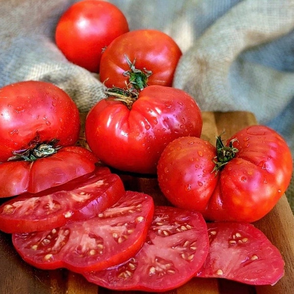 Giant Crimson Rare Tomato Seeds NJ USA Grower Heirloom Organic check my store for the largest selection