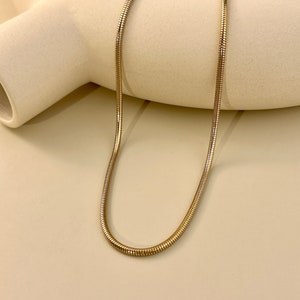 May include: A gold snake chain necklace on a white background.