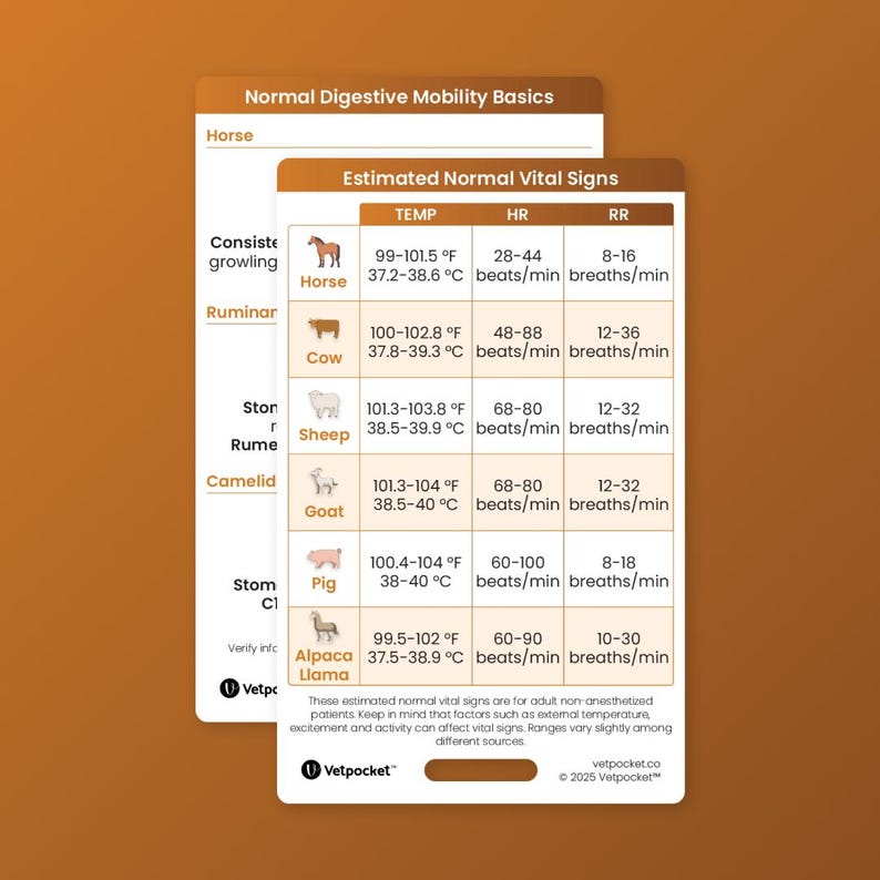Recover Veterinary Rythym Chart Vet Med Large Animal Reference Cards - Etsy