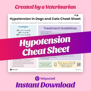 Puede incluir: Una hoja de referencia rosa y morada para veterinarios titulada "Hipotensión en perros y gatos". La hoja incluye información sobre la investigación y el tratamiento de la hipotensión en perros y gatos. También incluye un código QR para recursos adicionales.