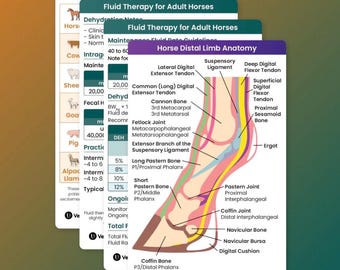 Vet Med Large Animal Reference Cards