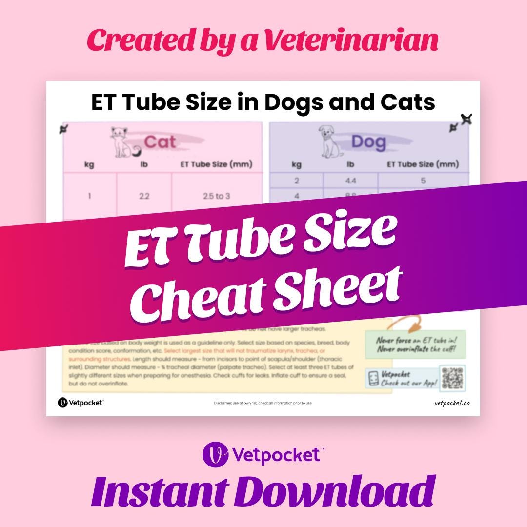 Veterinary ET Tube Size in Dogs and Cats Cheat Sheet Etsy