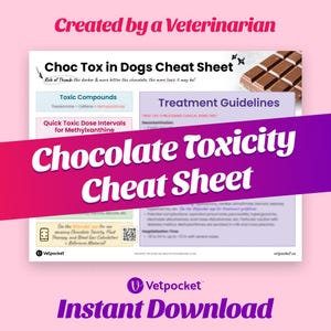 Puede incluir: Un gráfico rosa y morado con el texto "Chocolate Toxicity Cheat Sheet" en blanco. El gráfico también incluye un código QR y el texto "Created by a Veterinarian" y "Vetpocket Instant Download".