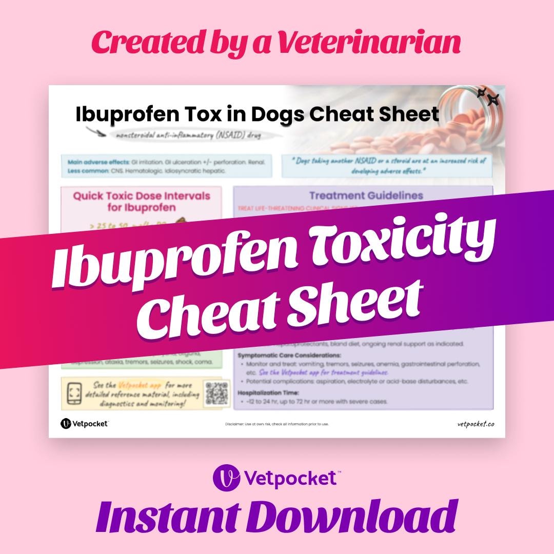 Can Dogs Take Ibuprofen For Sprains Strains