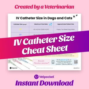 Puede incluir: Un gráfico rosa y morado con el texto "IV Catheter Size Cheat Sheet" y una tabla que muestra el tamaño de los catéteres IV para perros y gatos, junto con el caudal máximo y el tamaño aproximado del paciente. El gráfico también incluye un recordatorio para tener en cuenta el tamaño del animal y un código QR para obtener más información.