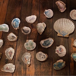 Oyster Shell Ring Dish - Home Decor