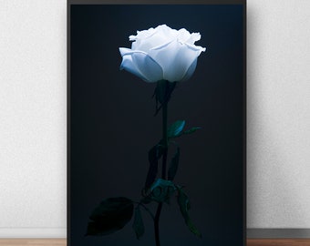 Weiße Rose Fotografie, DIGITALER Download, weiße Rose, Foto einer Blume, Shabby Chic, herunterladbar
