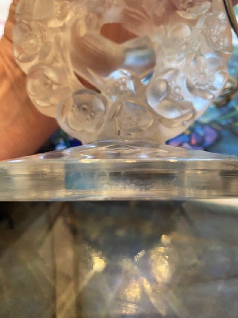 K&ouml;nnte beinhalten: Eine klare Glasvase mit Blumenmuster. Die Vase ist mit einem erhabenen Blumenmuster verziert und hat einen klaren Glasfu&szlig;.