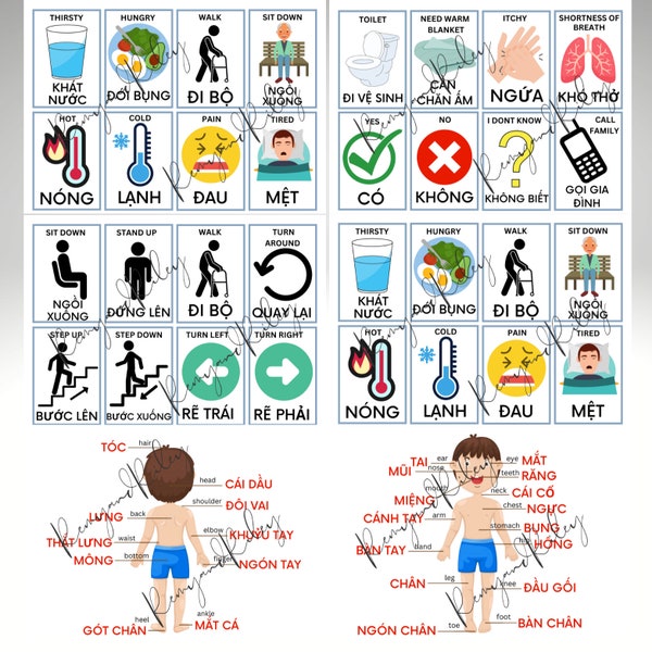 Printable Digital Download PEC Communication Board Cards for Nonverbal/Autistic, Special Needs, Visual Aid English VIETNAMESE