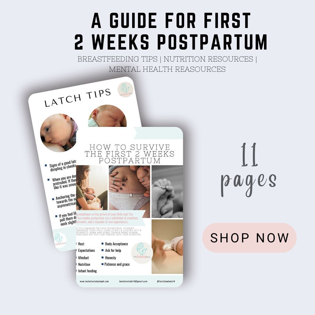 Postpartum Survival Guide: Essential Clothes, Self-Care & More Tips - The  Mom Edit