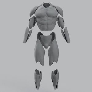 Peut inclure: Un ensemble de pièces d'armure segmentées grises conçues pour couvrir le torse, les épaules, le haut des bras, les avant-bras, les cuisses et le bas des jambes. Les composants individuels ont une finition mate lisse et sont disposés en corps.