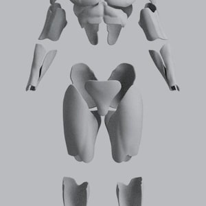 Peut inclure: Un ensemble de pièces d'armure segmentées gris clair conçues pour couvrir le torse, les épaules, le haut des bras, les avant-bras, les hanches, les cuisses et le bas des jambes. Les composants sont disposés en pièces détachées sur un fond gris.