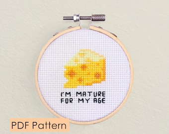 Cheese Cross stitch pattern PDF Download - cheese lover pun - easy cross stitch - food pun - cheesy - birthday celebration gift