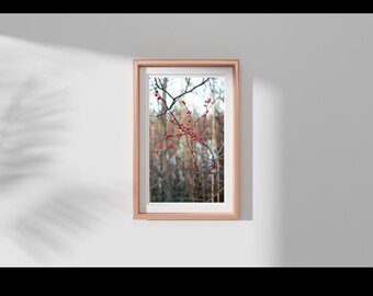 Winter Red Berries Photo: Vibrant Botanical Wall Art (Digital Download