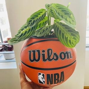 Original Basketball Planter | Hypebeast Decor | Basketball Gift | Hype Home Decor | Basketball Planter | NBA Planter | Basketball Vase