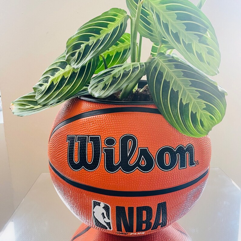 Original Basketball Planter Hypebeast Decor Basketball Etsy