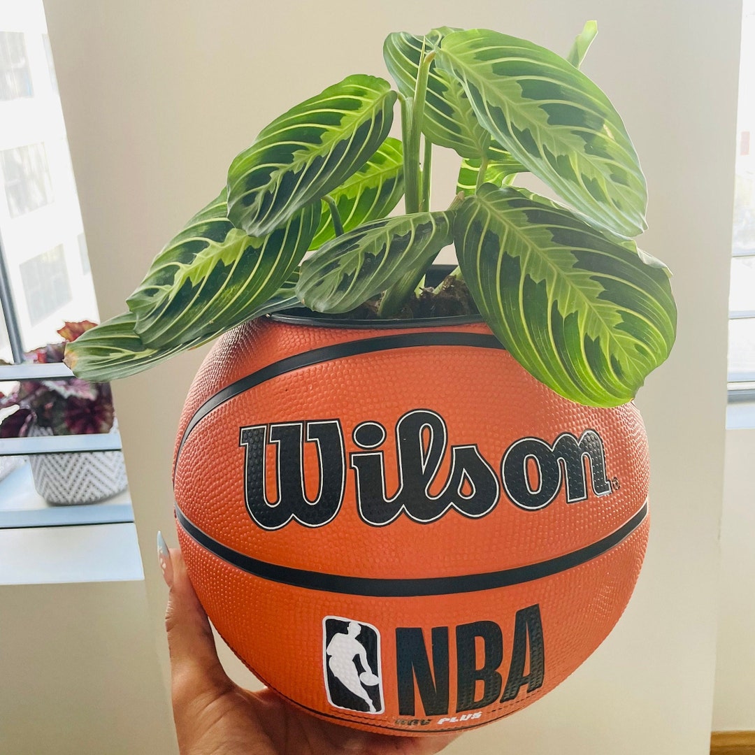 Original Basketball Planter Hypebeast Decor Basketball Gift Hype Home