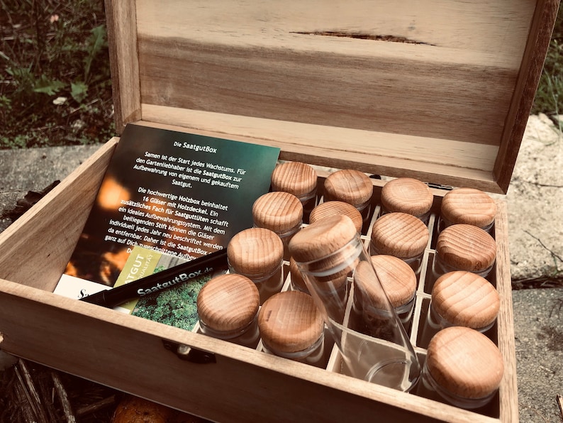 Boîte en bois pour le stockage des graines boîte cadeau pour les