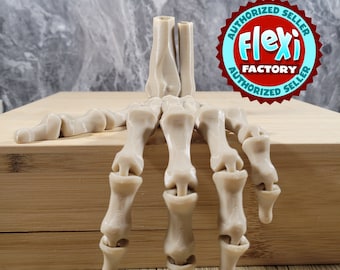 Flexi Skeleton Hand / Fidget Toy / 3D Printed