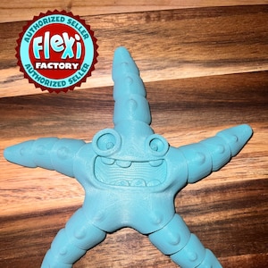 Flexi Starfish / 3D Printed /  Fidget Toy