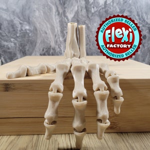 Flexi Skeleton Hand / Fidget Toy / 3D Printed