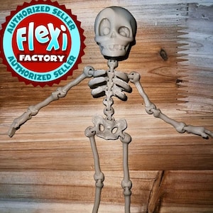 Flexi Skeleton / 3D Printed /  Fidget Toy